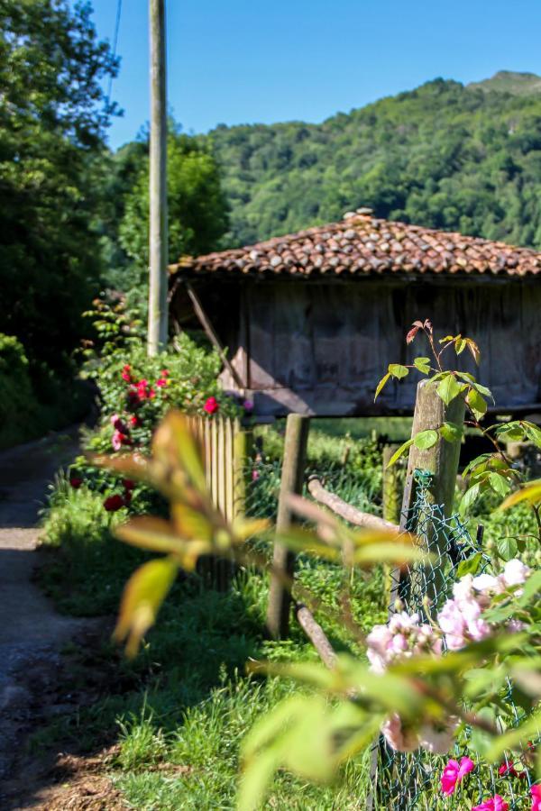 Casa Clarita Villa Cano Ngoại thất bức ảnh